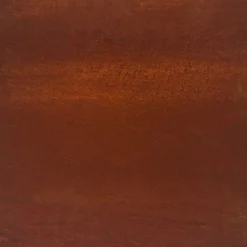 vidaXL Lit surélevé de jardin 100x100x18,5 cm acier corten
