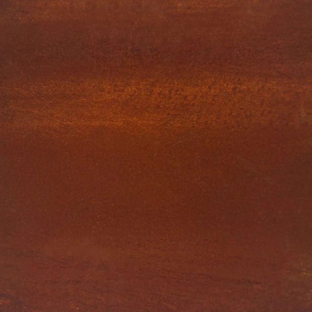 vidaXL Lit surélevé de jardin 100x100x18,5 cm acier corten