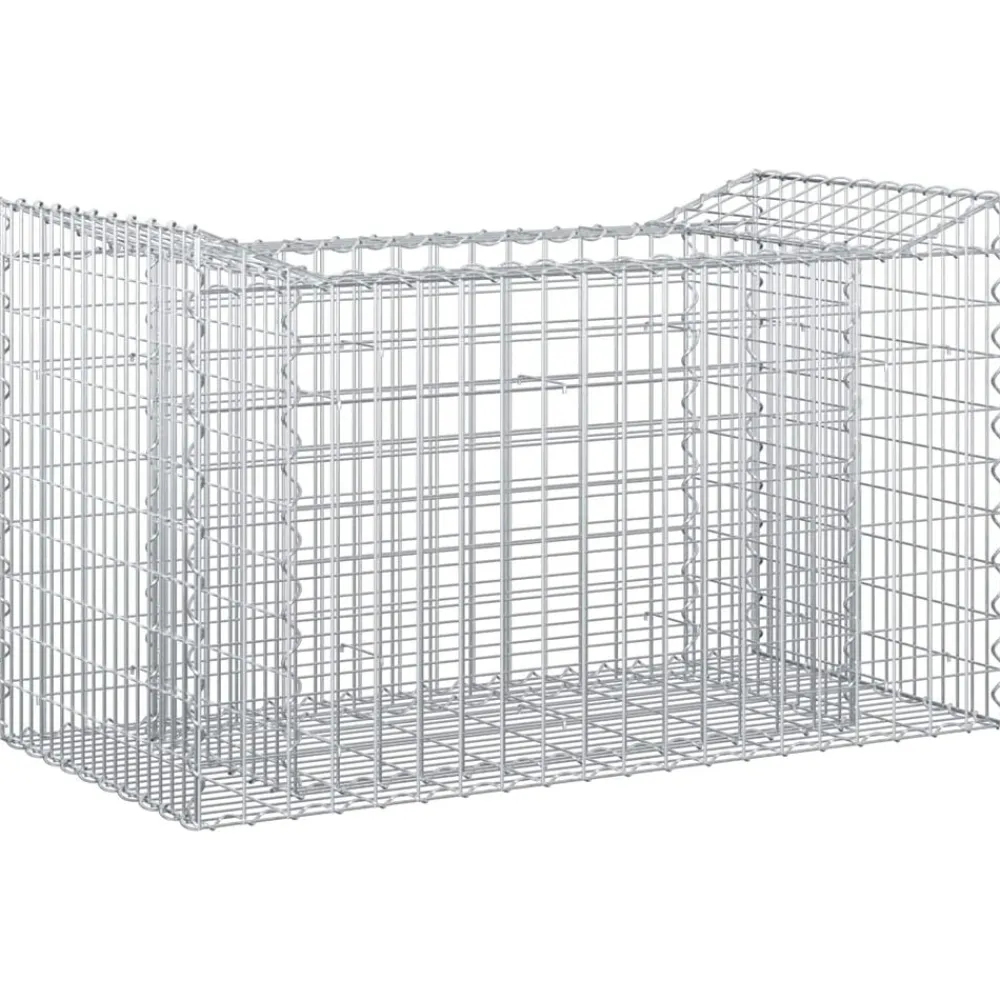 Clôtures & Barrières-vidaXL Lit surélevé gabion Argenté 50 x 100 x 60 cm Acier galvanisé