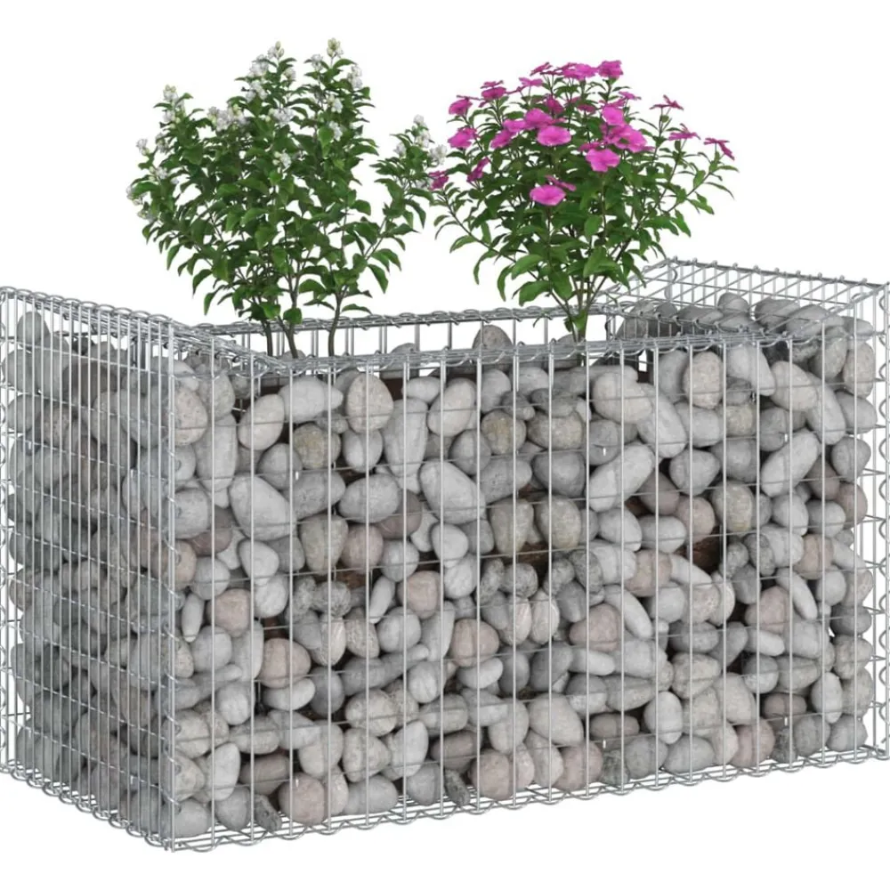 Clôtures & Barrières-vidaXL Lit surélevé gabion Argenté 50 x 100 x 60 cm Acier galvanisé