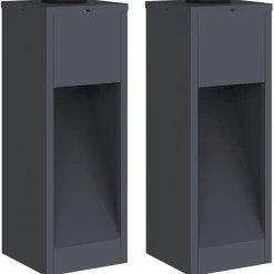Luminaires-vidaXL Lumière de Chemin LED Solaire 2 pcs Anthracite