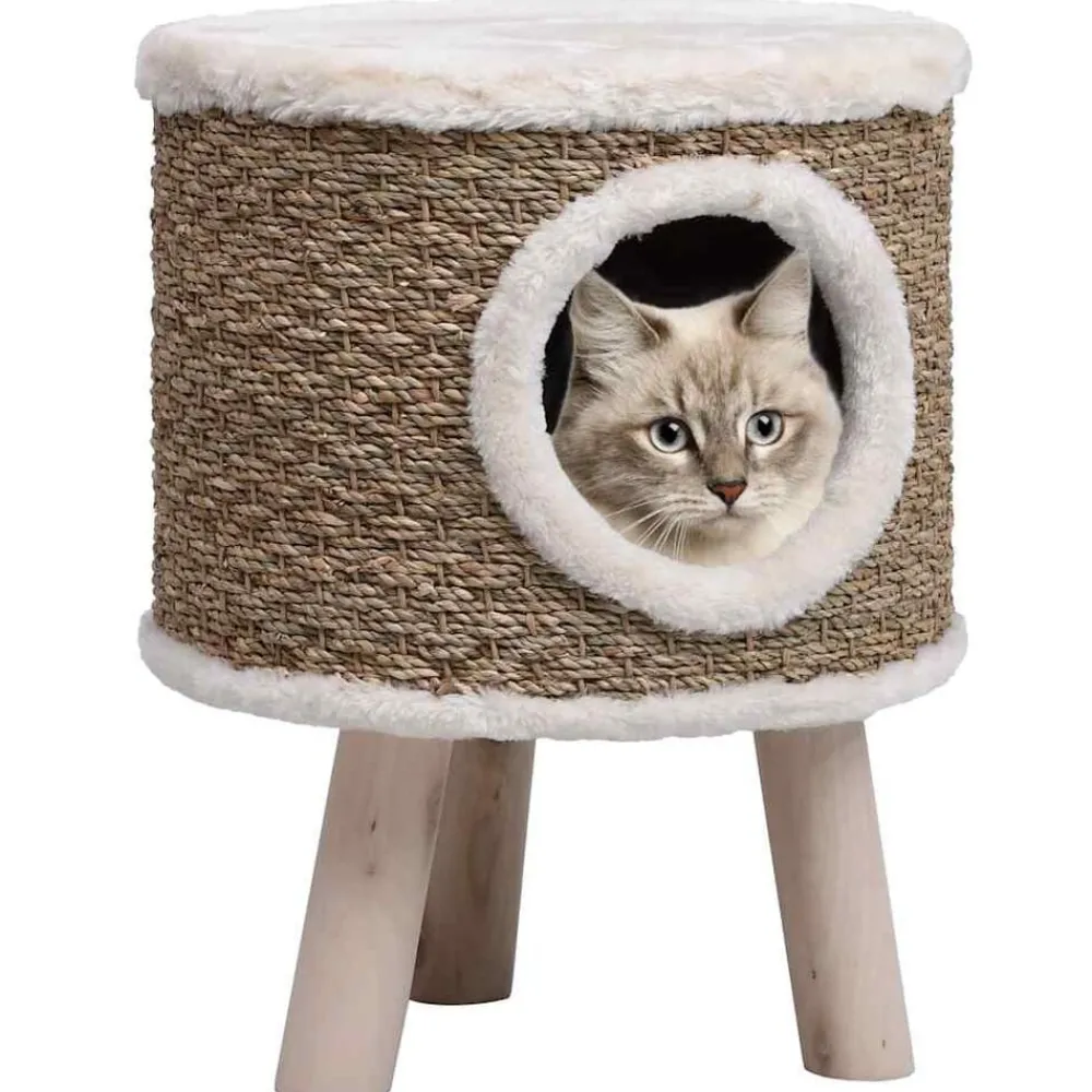 vidaXL Maison pour chat avec pieds en bois 41 cm Herbiers marins
