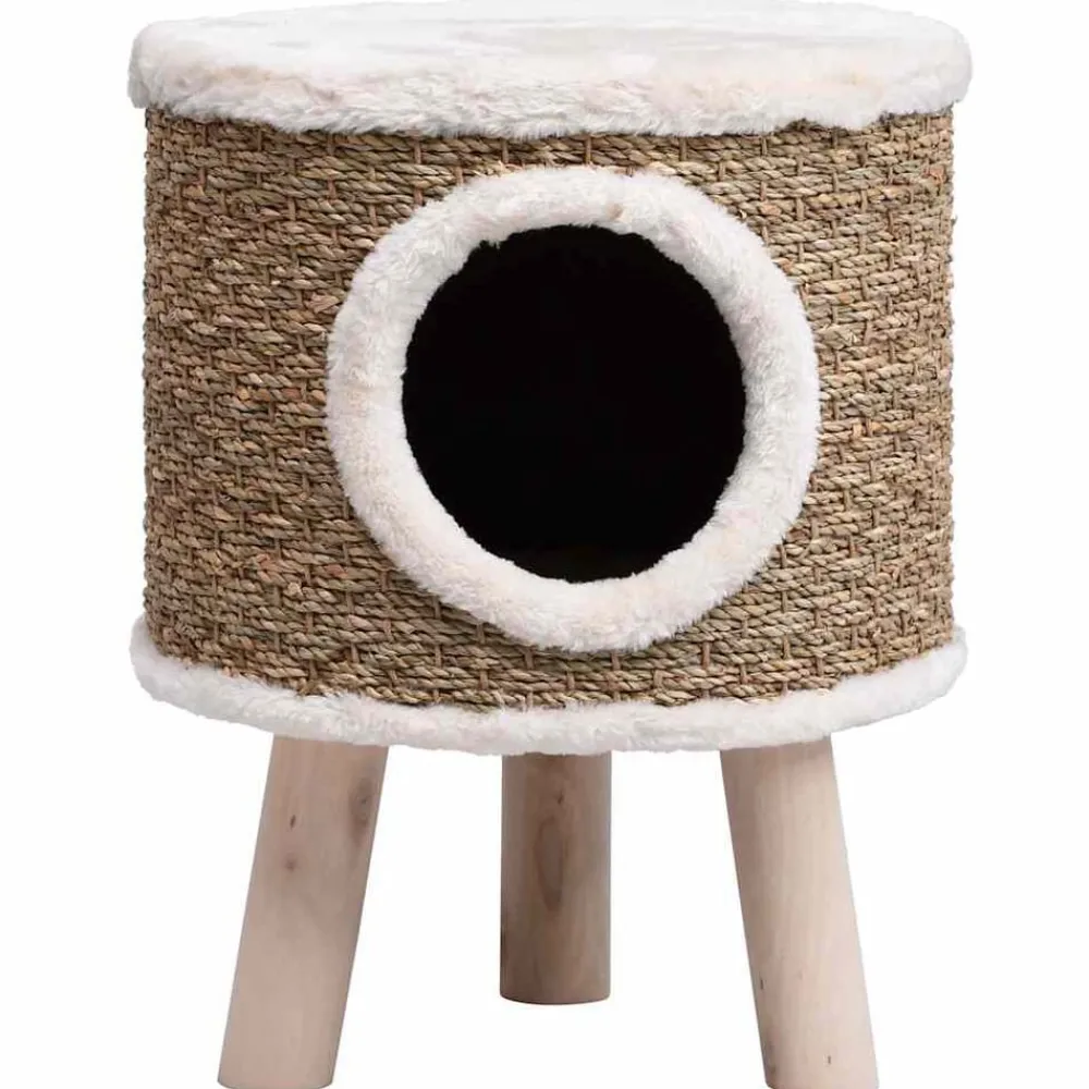 vidaXL Maison pour chat avec pieds en bois 41 cm Herbiers marins