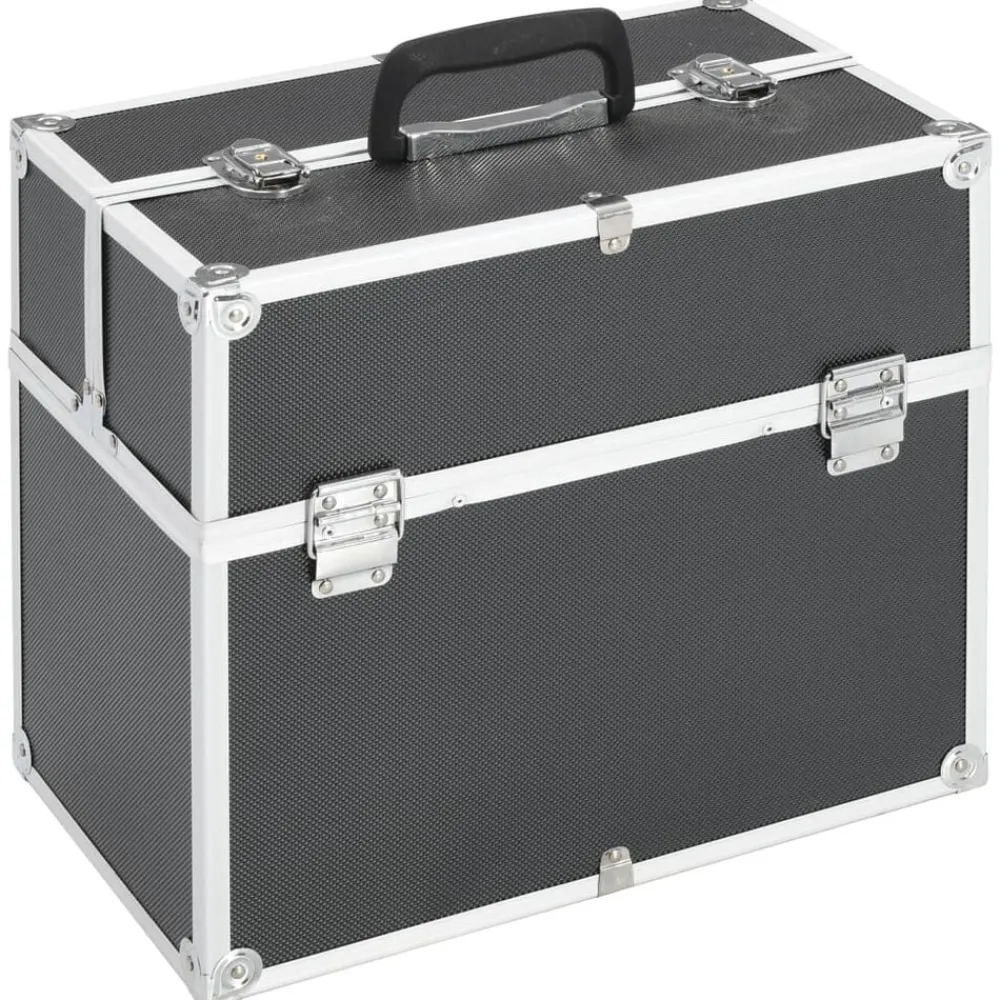 vidaXL Mallette à maquillage 38x23x34 cm aluminium