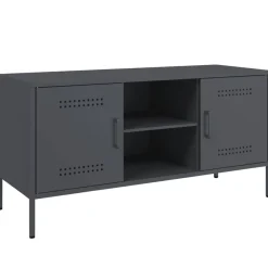 Meubles Tv-vidaXL Meuble TV 100,5x39x50,5 cm acier Anthracite