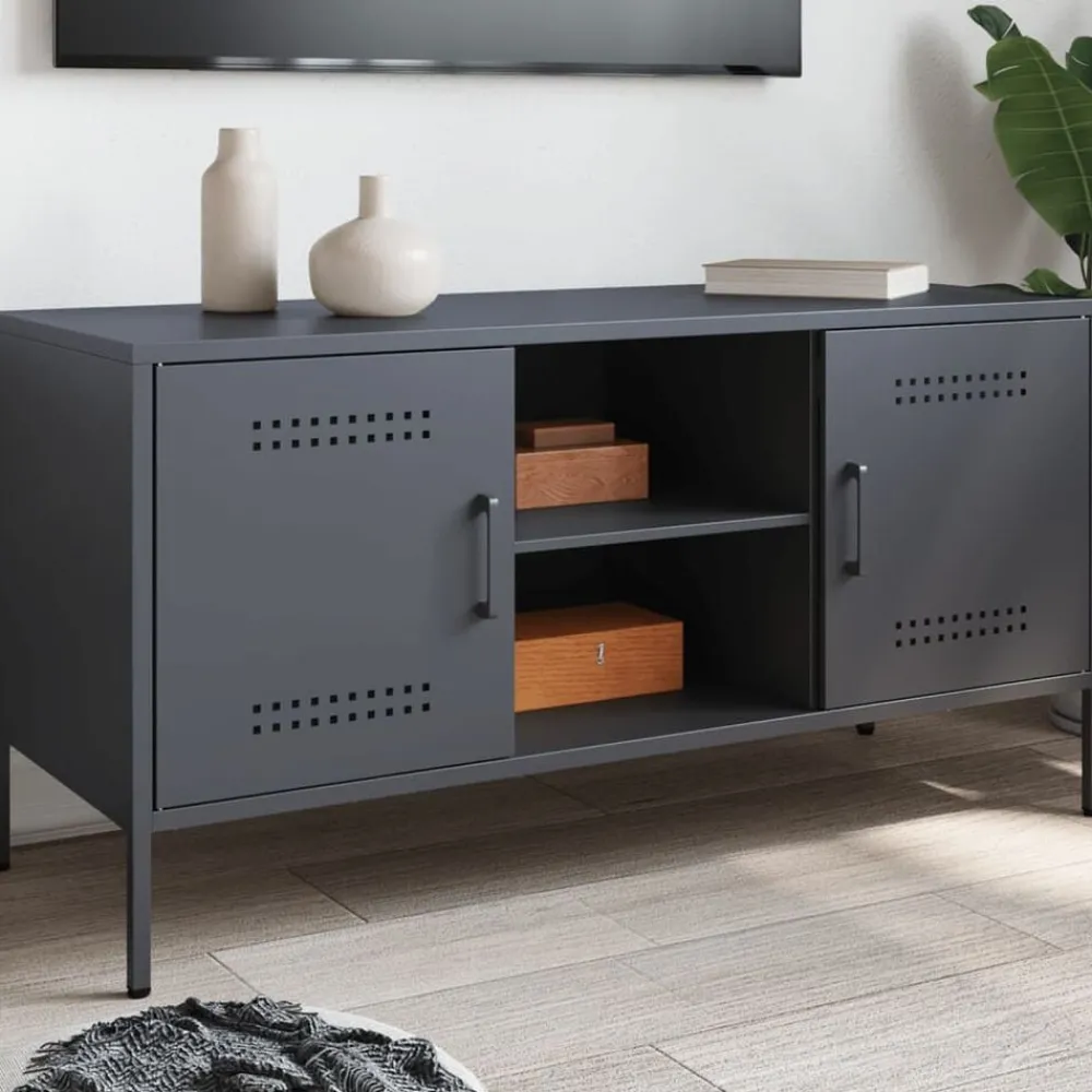 Meubles Tv-vidaXL Meuble TV 100,5x39x50,5 cm acier Anthracite