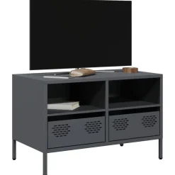 vidaXL Meuble TV 68x39x43,5 cm acier laminé à froid