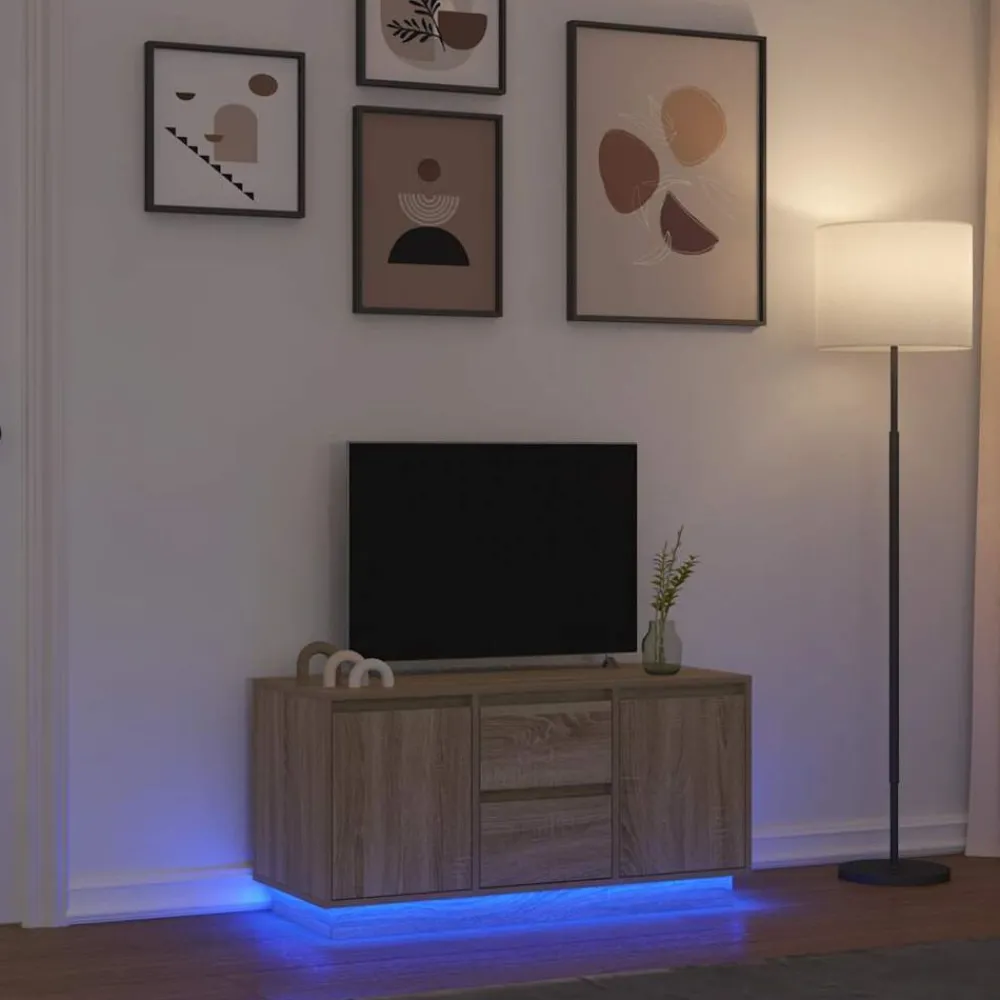 vidaXL Meuble TV avec lumières LED chêne sonoma 100x41x50 cm