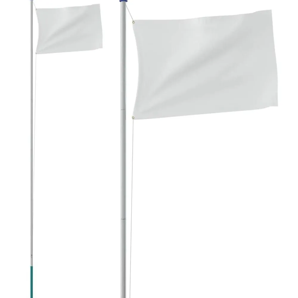 vidaXL Mât de drapeau sectionnel Argenté 6,08 m Aluminium