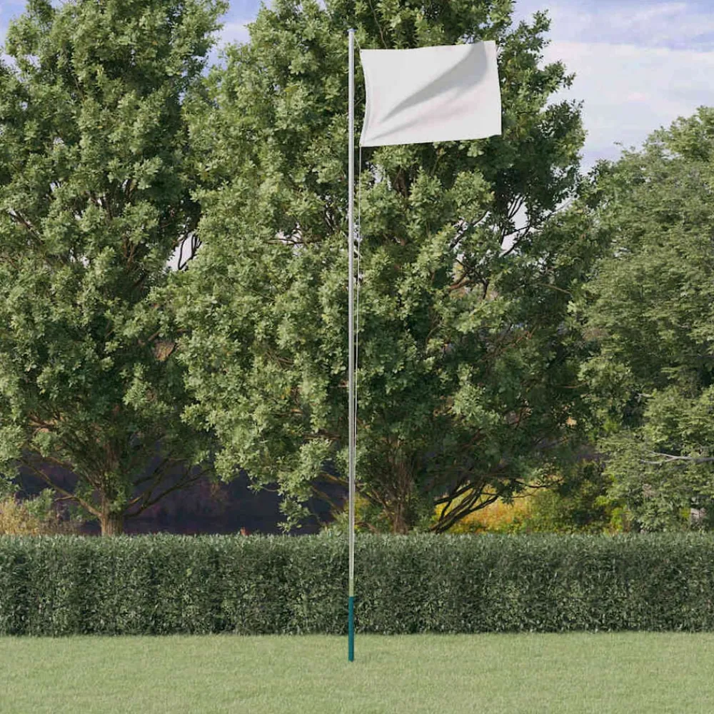 vidaXL Mât de drapeau sectionnel Argenté 6,08 m Aluminium