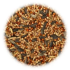 Articles Pour Animaux De Compagnie-vidaXL Nourriture pour oiseaux 25 kg