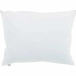 vidaXL Oreiller avec oreiller Blanc 40 x 60 cm Coton
