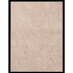 Décorations-vidaXL Paillasson 40x60 cm Beige