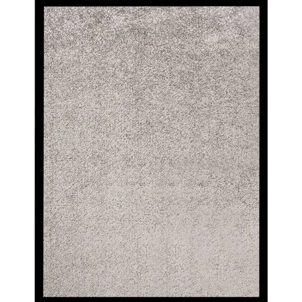 Décorations-vidaXL Paillasson 40x60 cm Gris