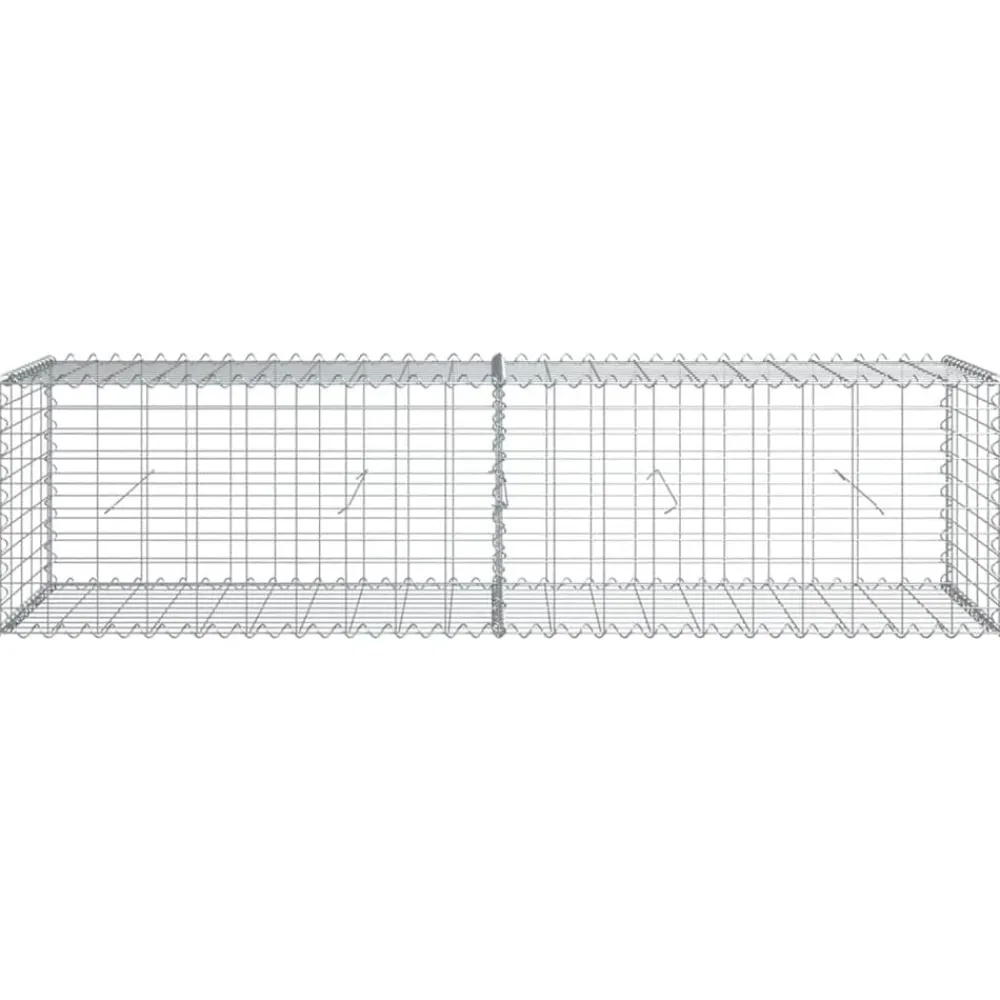 Foresterie & Exploitation Des Forêts|Pelouses & Jardins-vidaXL Panier gabion avec couvercle 200x50x50 cm fer galvanisé