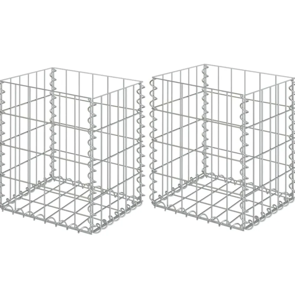vidaXL Paniers de gabion 2 pcs Acier galvanisé 30x30x40 cm