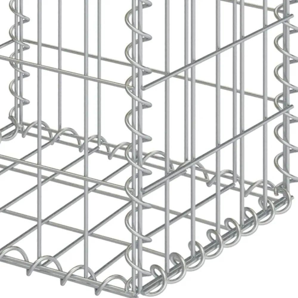 vidaXL Paniers de gabion 2 pcs Acier galvanisé 30x30x40 cm