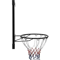 vidaXL Panneau de basket-ball Transparent 106x69x3 cm Polycarbonate