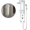 Plomberie-vidaXL Panneau de douche 25x43x110 cm Argenté