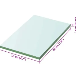Étagères-vidaXL Panneau pour étagère Verre transparent 20 x 12 cm