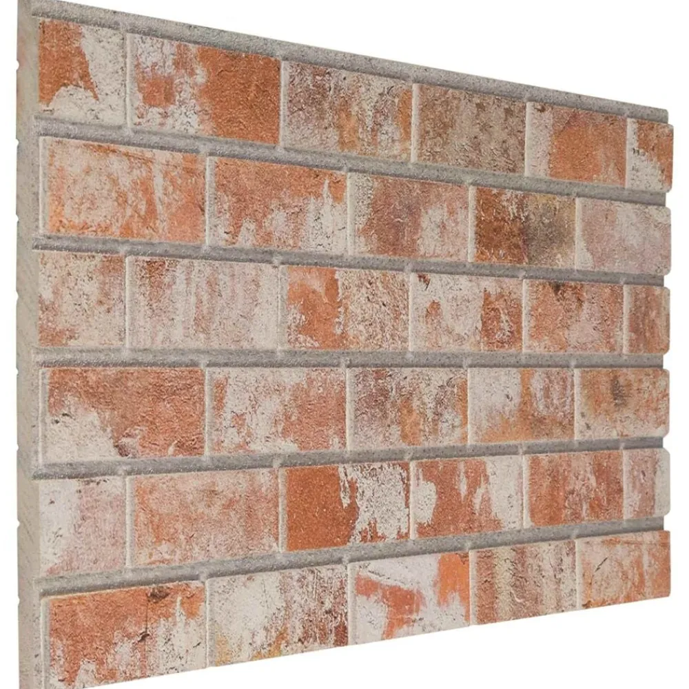 vidaXL Panneaux muraux 10 pcs 100 x 50 cm Mousse EPS