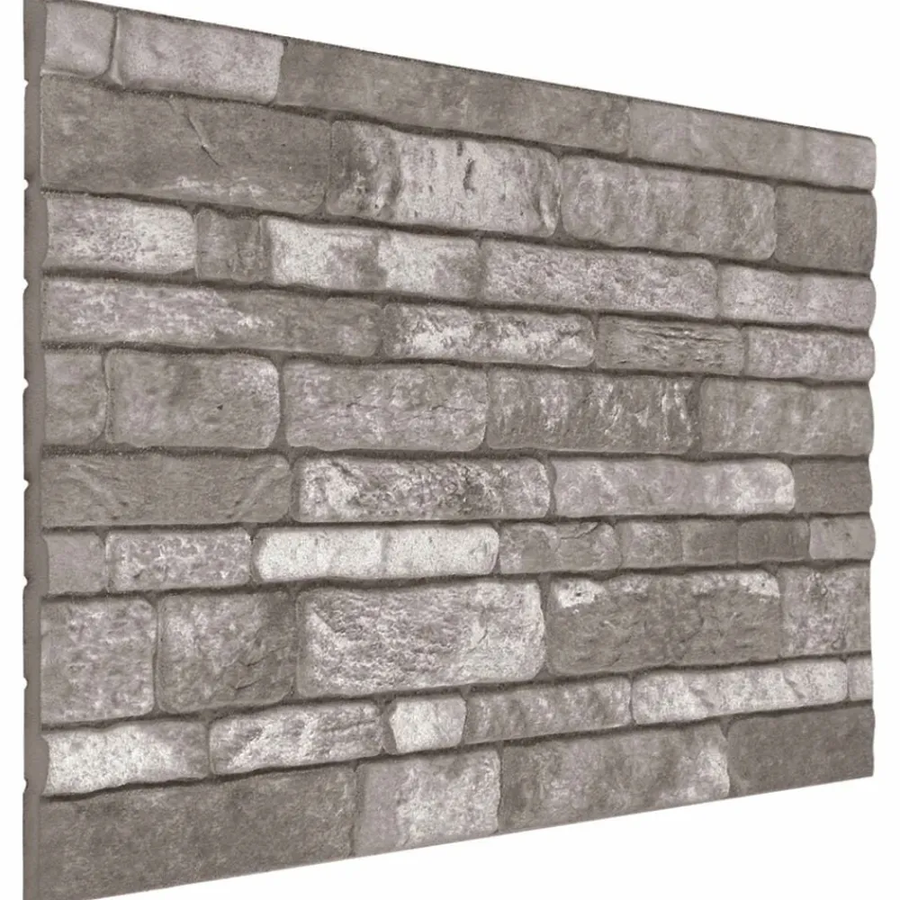 vidaXL Panneaux muraux 10 pcs 100 x 50 cm Mousse EPS