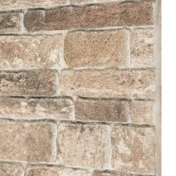 vidaXL Panneaux muraux 10 pcs Multicolore 100 x 50 cm Mousse EPS