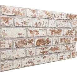 vidaXL Panneaux muraux 10 pcs 100 x 50 cm Mousse EPS