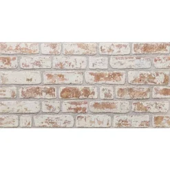 vidaXL Panneaux muraux 10 pcs 100 x 50 cm Mousse EPS
