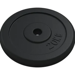 vidaXL Plaque de poids 20 kg Fonte