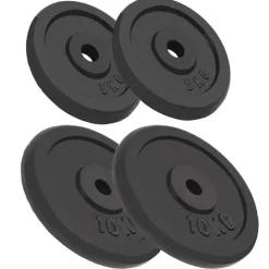vidaXL Plaque de poids 4 pcs 2 x 10 kg + 2 x 5 kg Fonte