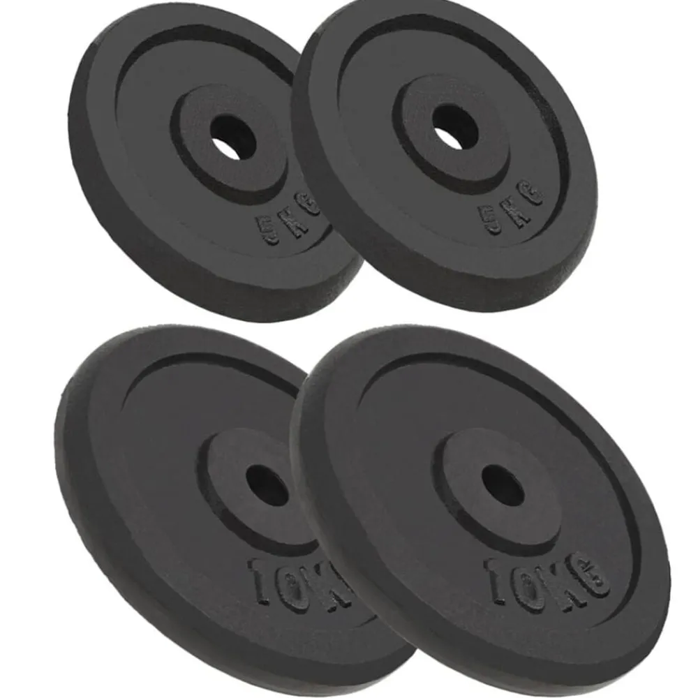 vidaXL Plaque de poids 4 pcs 2 x 10 kg + 2 x 5 kg Fonte