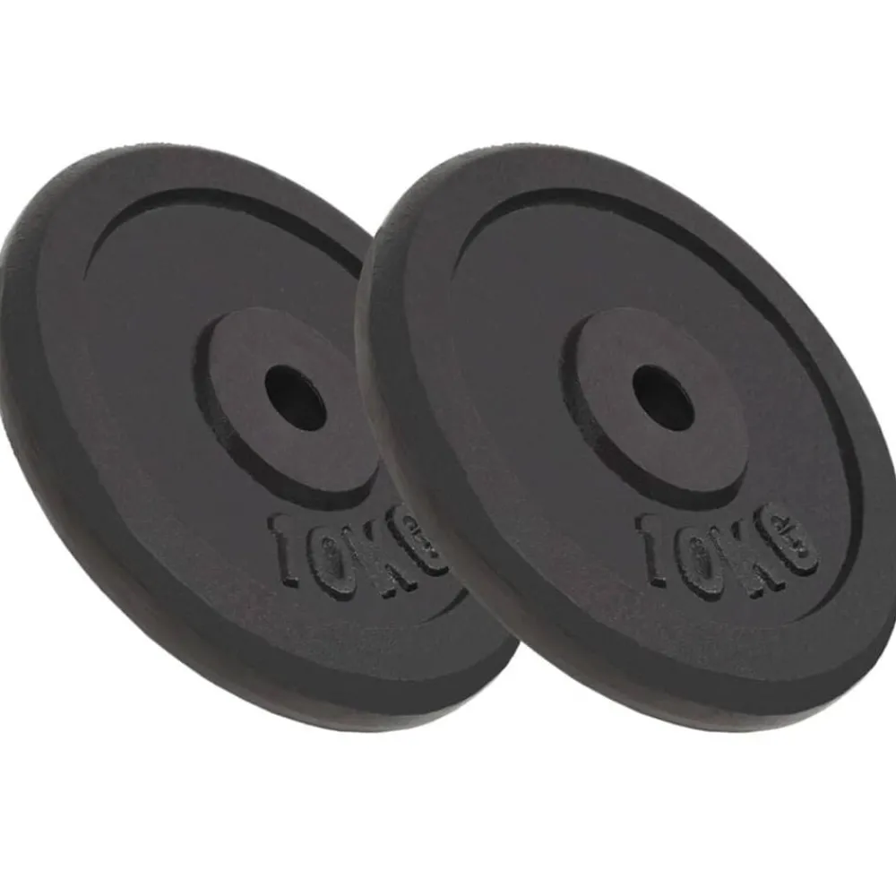 vidaXL Plaque de poids 2 pcs 2x10 kg Fonte