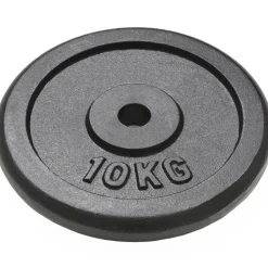 vidaXL Plaque de poids 2 pcs 2x10 kg Fonte