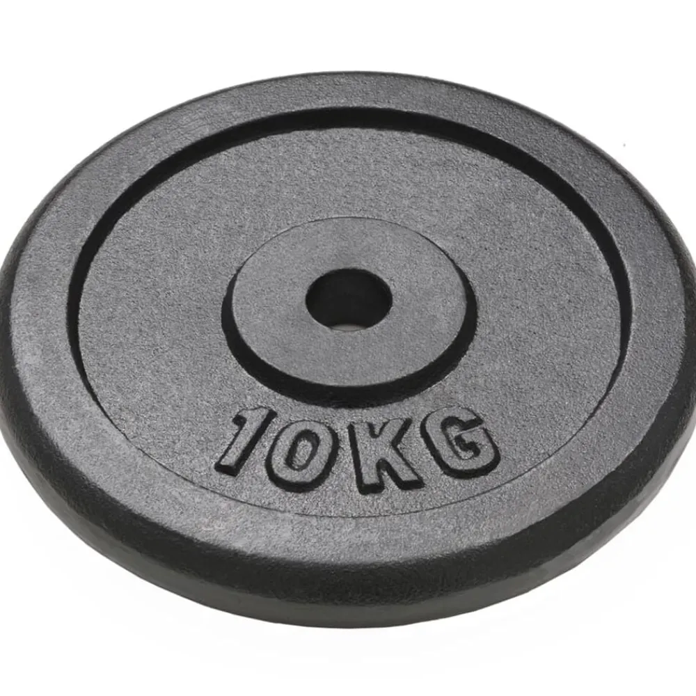 vidaXL Plaque de poids 2 pcs 2x10 kg Fonte