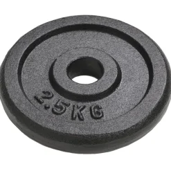 vidaXL Plaque de poids 8 pcs 8x2,5 kg Fonte