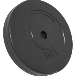 vidaXL Plaques de poids 4 pcs 30 kg Béton