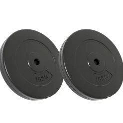 vidaXL Plaques de poids 2 pcs 30 kg Béton