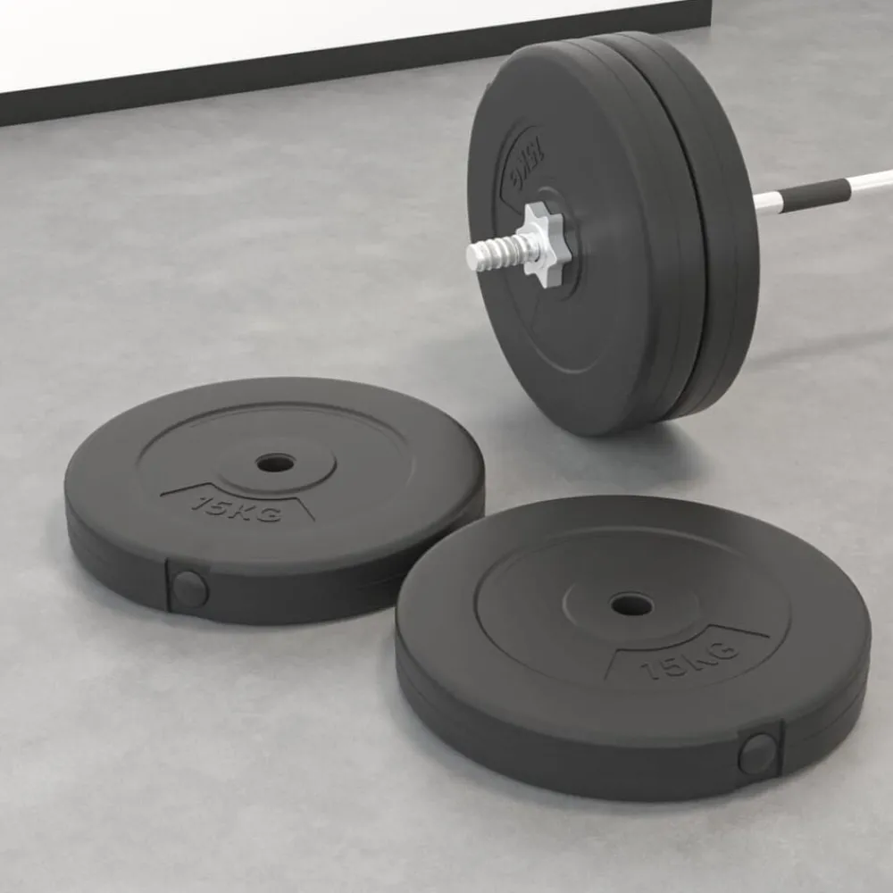 vidaXL Plaques de poids 2 pcs 30 kg Béton