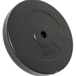 vidaXL Plaques de poids 2 pcs 30 kg Béton