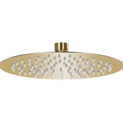 Plomberie-vidaXL Pomme de douche pluie Acier inoxydable 20 cm Ronde Doré