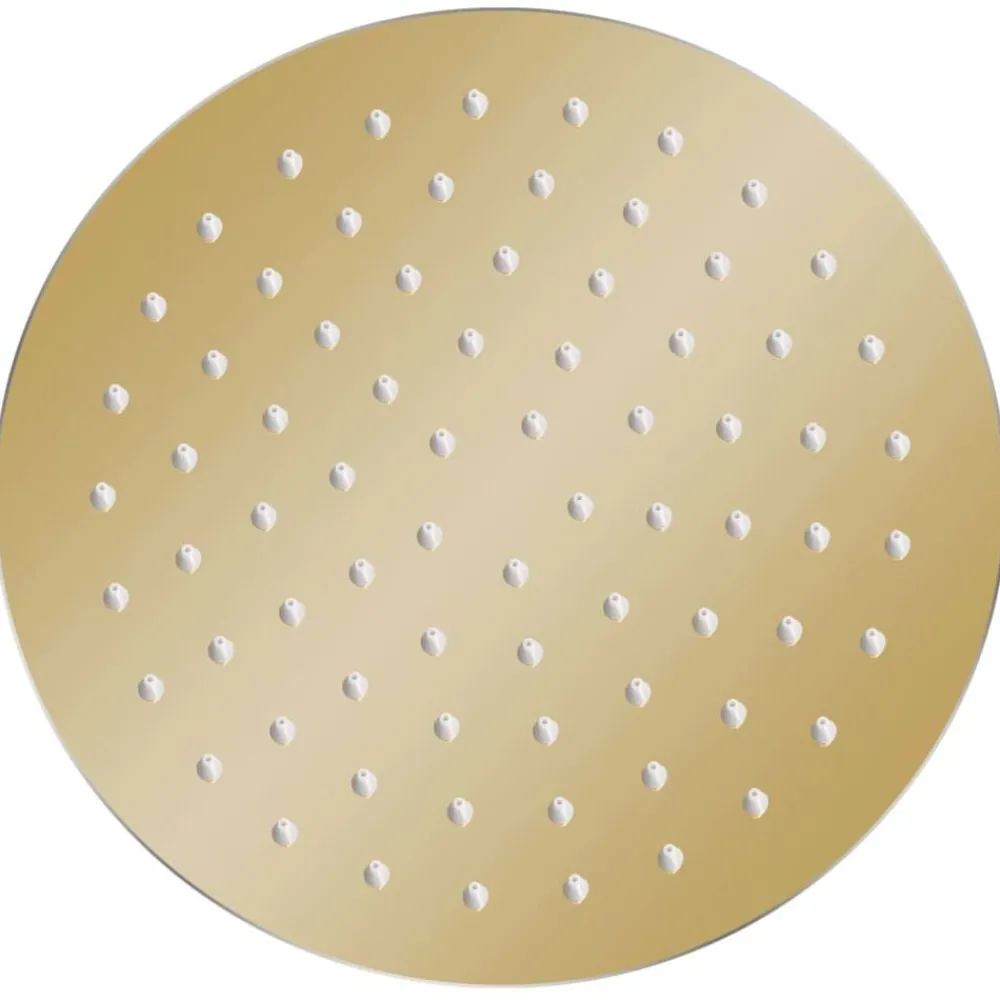 Plomberie-vidaXL Pomme de douche pluie Acier inoxydable 20 cm Ronde Doré
