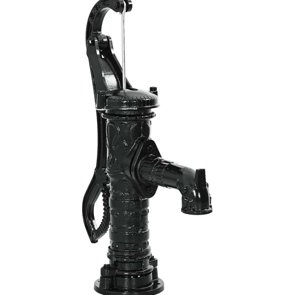 vidaXL Pompe à eau manuelle de jardin Fonte