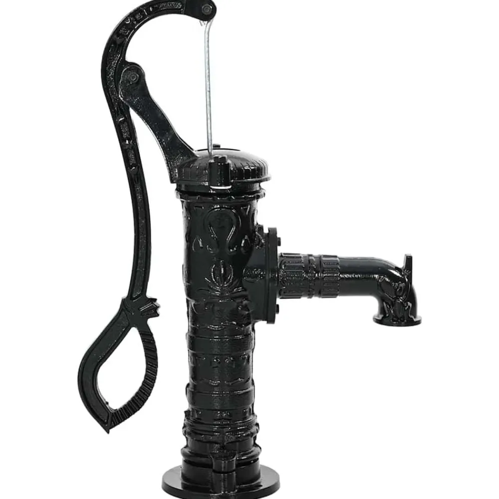 vidaXL Pompe à eau manuelle de jardin Fonte