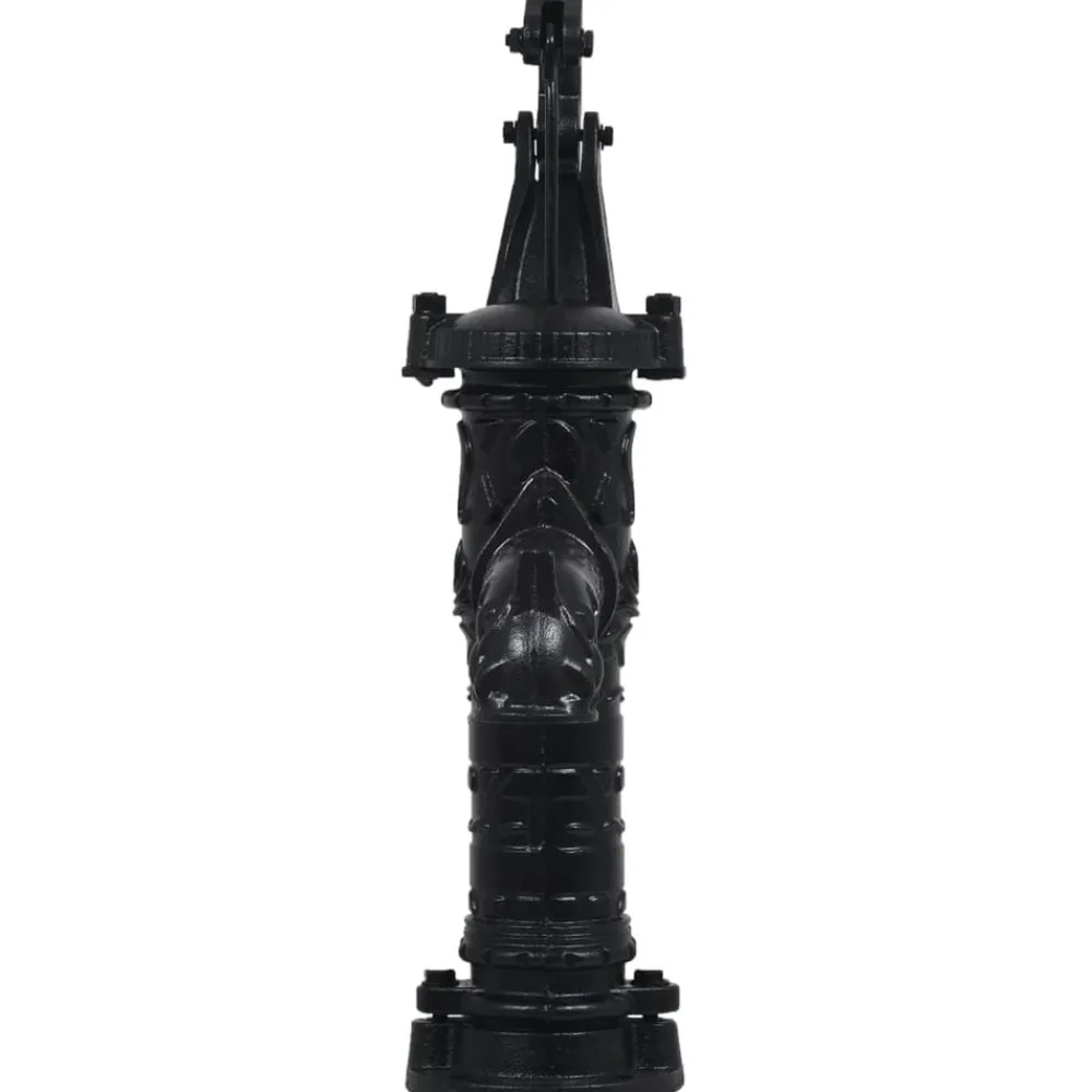 vidaXL Pompe à eau manuelle de jardin Fonte