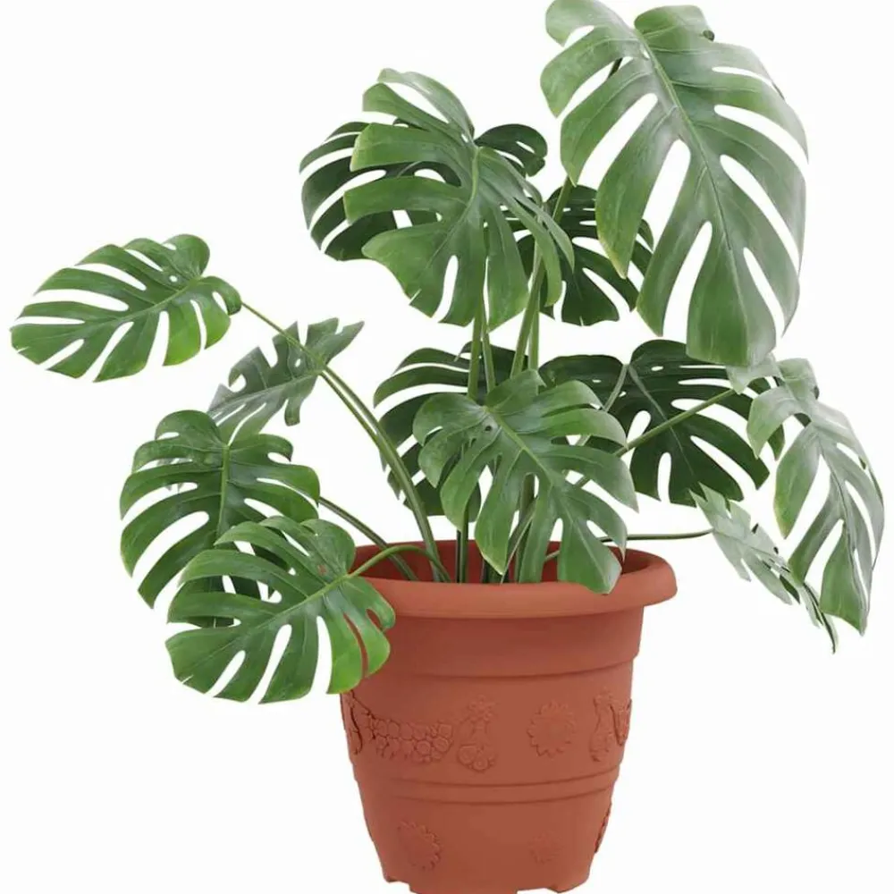 Pelouses & Jardins-vidaXL Pot à fleurs rond 6 pcs Ø 22 x 18 cm Plastique Rouge brique