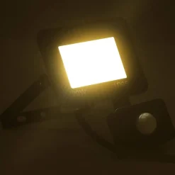 Luminaires-vidaXL Projecteur à LED avec capteur 20 W Blanc chaud