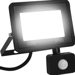 Luminaires-vidaXL Projecteur à LED avec capteur 30 W Blanc froid
