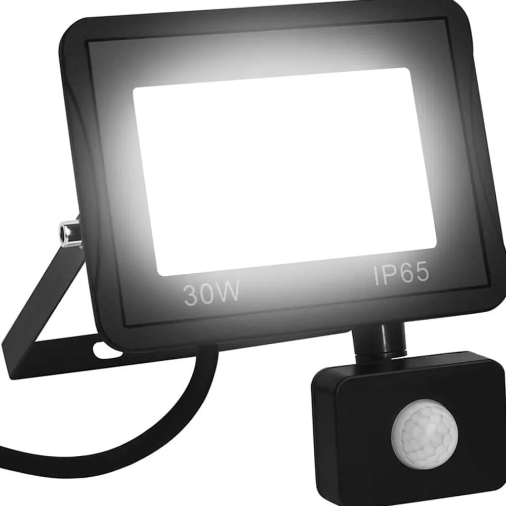 Luminaires-vidaXL Projecteur à LED avec capteur 30 W Blanc froid