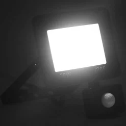 Luminaires-vidaXL Projecteur à LED avec capteur 30 W Blanc froid